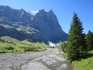 Wetterhorn