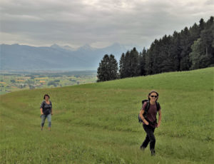 Alpenpanorama