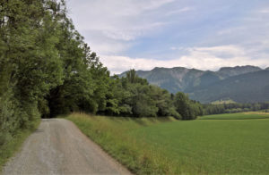 Gürbe