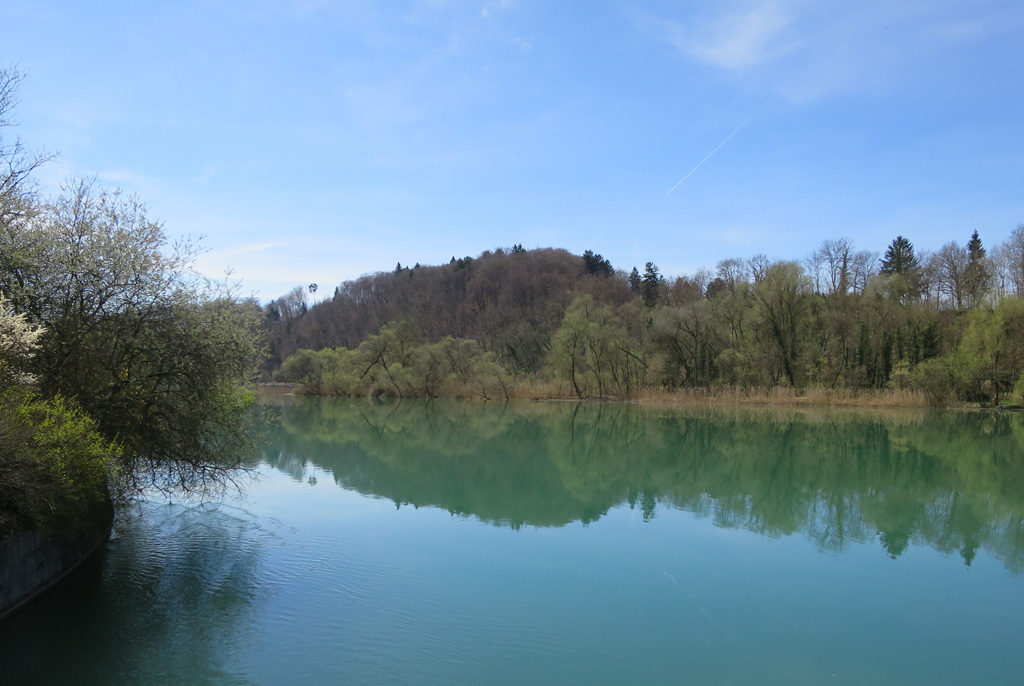 Gestaute Aare bei Niederried