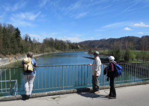 Ausschau auf dem Stauwehr Niederried