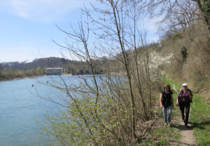 Uferweg nach Niederried: der lauschigste Abschnitt des Tages