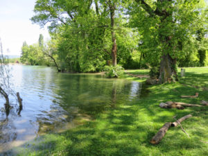 Druckfehler auf der Wanderkarte: «Am See» liegt momentan «Im See».