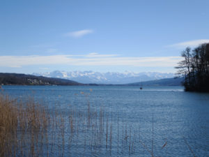 Alpensicht am Hallwilersee