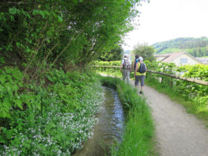 Am Mühlebach ausserhalb von Willisau