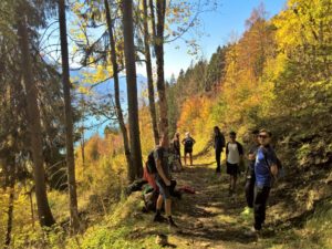 Rotgoldener Herbstwald nahe Planalp