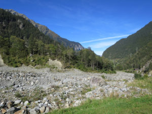 Auf Höhe Spreitgraben muss man die Aare förmlich suchen.