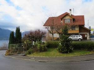 Auch in Gunten feierten sie grüne Weihnachten.