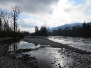Licht, Weite und überall Wasser: In der Hunzigenau
