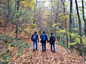 Nach dem Sturm war der Wald weitgehend entlaubt.