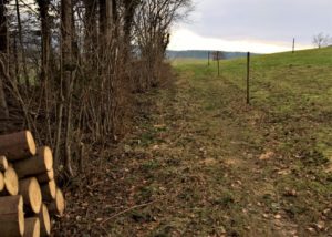 Auf dem Weg nach Freienwil