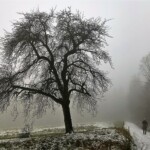 Später taten sich Wolken, Wälder und Wege wieder in grosser Dramatik hervor.