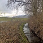 Das Gewässer des Tages: Der Oberbipper Dorfbach.