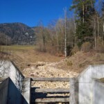 Müsste da nicht noch etwas sein? Vom Giglerbach war auf der Allmend keine Spur zu sehen.