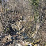 Eine halbe Stunde später, wenige hundert Schritte weiter unten: Der Bach sprudelt und murmelt, wie wenn nichts gewesen wäre.