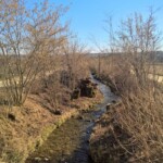 Und nochmals der Giglerbach, hier jetzt auf seinem direkten Weg in den Schoss der Aare