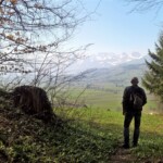 Kreidefelsen auf Rügen? Nein, Hans studiert das Panorama der Berner Alpen.