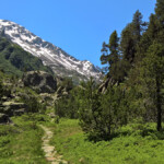 Paradiesisch schön war’s beim Wyssemadhubel – der Hügel schirmte uns gegen das Motorgeheul von der Sustenpassstrasse ab («Zivilisationsbrandungsgeräusche», wie Roland das nannte).