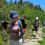 Auch Kneippen stand auf dem Programm, allerdings unfreiwillig, denn auf dem Bergweg hatte der Bach das Szepter übernommen.