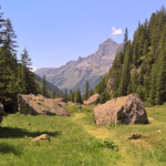 Auf dem Weg talauswärts nach Gadmen
