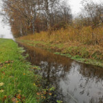 Das Bindeglied zwischen Aare und Rhone: Der Canal d’Entreroches