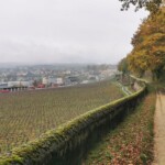 Im Tal der Venoge, einem Zubringer der Rhone und einst auch der Aare: Auf dem Weg nach La Sarraz
