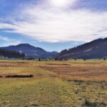 Im Spätherbst zeigt sich das Hochmoor von seiner buntesten Seite.