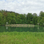 Trotz der Pause-Krawallanten zog die Reuss gleichmütig durch ihr grünes Auenwaldbett.