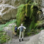 Geheimnisvolle Moosskulptur beim Mülibach