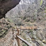 Im Tobel des Torrente Dragonato. Im Tobel des Torrente Dragonato.