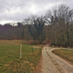 Frühling in der Ferne: Der Einstieg war farblos und frostig. Frühling in der Ferne: Der Einstieg war farblos und frostig.