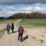 Als die Sonne kam, legte auch die Bise nochmals einen Zacken zu und schwirrte uns giftig um die Ohren. Als die Sonne kam, legte auch die Bise nochmals einen Zacken zu und schwirrte uns giftig um die Ohren.